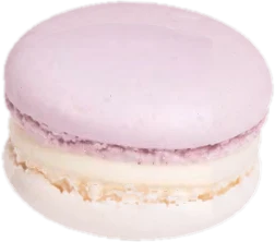 Macaron violetta